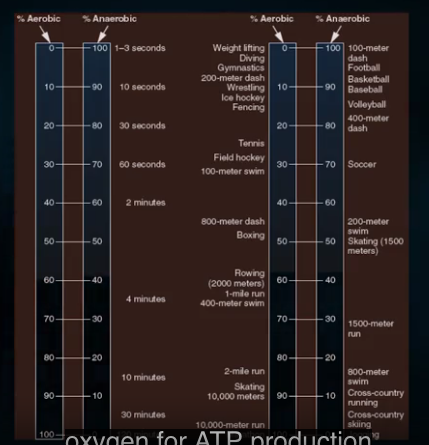 Aerobic and Anaerobic exercises