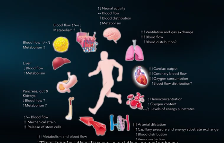 Homeostasis