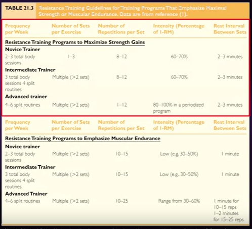 Strength training adaptations