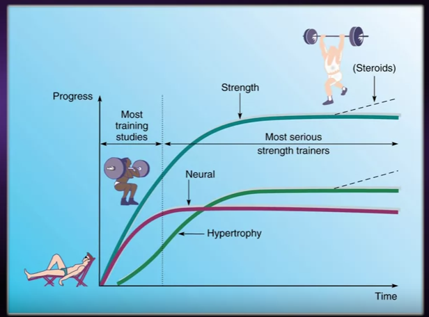 Strength training over time